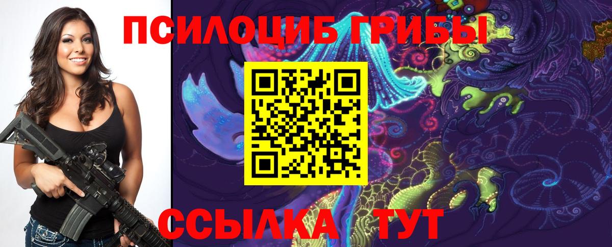 Псилоцибиновые грибы GOLDEN TEACHER  Галлюциногенные грибы GOLDEN TEACHER  Гулькевичи  Вход с VPN 